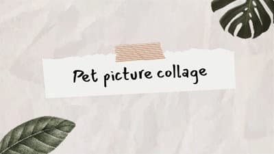pet-picture-collage