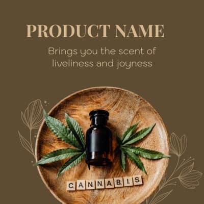 product-introduction