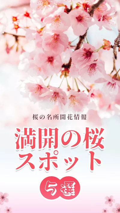 5 Flores De Cereja No Japão