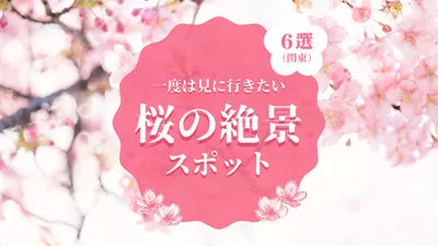 6 Flores De Cereja No Japão