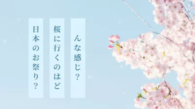 桜まつり 日本