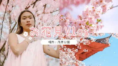 Fleurs De Cerisier Pique Nique Vlog Sakura