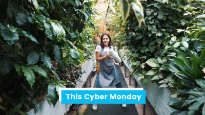 Cyber Monday Promo
