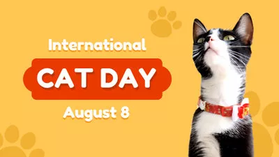 Journée Internationale Du Chat