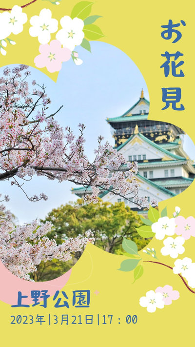 Lets Go See Cherry Blossoms Sakura