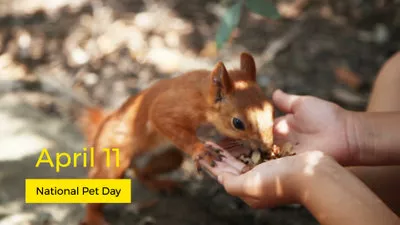 Dia Nacional Do Animal De Estimação
