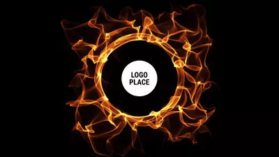 Orange Circle Logo Reveal