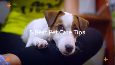 Tierpflege Tipps