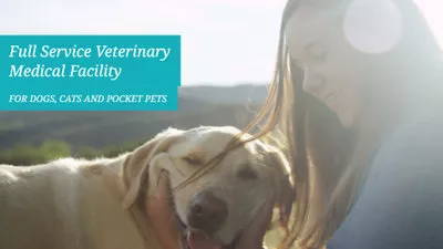 Pet Hospital Promo