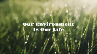 Salvar El Medio Ambiente