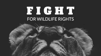 野生动物权利